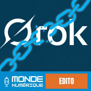 ✍️ Edito - Elon Musk arrivera-t-il à dompter Grok ?