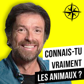 Baleine sous gravillon, le podcast de la biodiversité