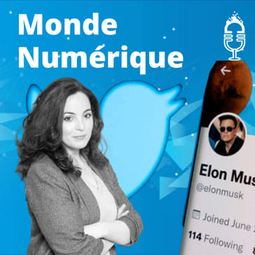 [Extrait] Twitter en plein chaos (Asma Mhalla, spécialiste numérique et politique)
