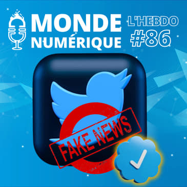 L'HEBDO : La désinformation va-t-elle envahir Twitter ?