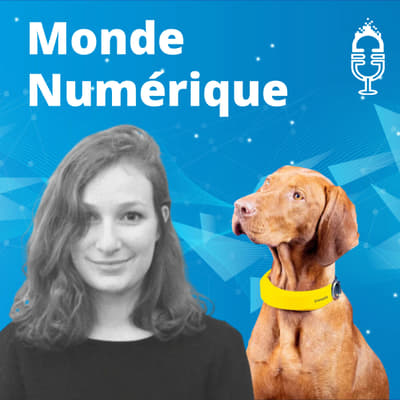 Un collier connecté pour détecter les maladies des chiens (Amelie Caudron, Invoxia)