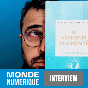 L'IA révolutionne la vente (Vincent Caltabellota, consultant)