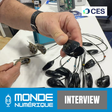 🎤 CES 25 - Des huitres connectées pour contrôler la qualité de l'eau