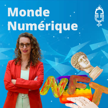 "Les NFT révolutionnent le marché de l'art" (Tam Gryn, conservatrice à Miami)