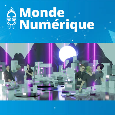 Itw | Le boom des biens virtuels dans les metavers - Chloé Woitier, Le Figaro