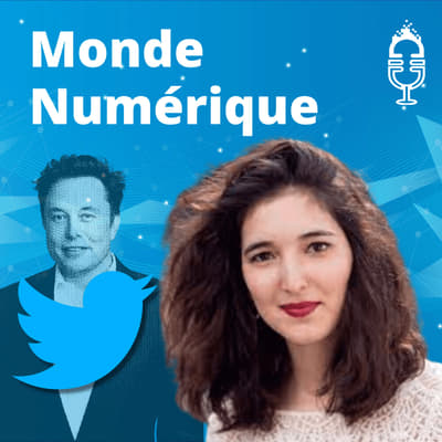 "Elon Musk ne comprend pas vraiment les questions de modération", Leïla Mörch (Stanford University))