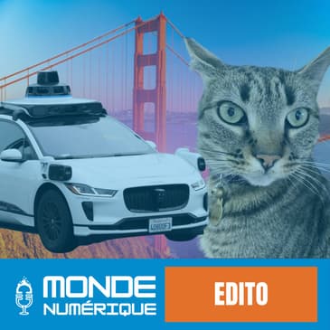 ✍️ Edito – Ce qu'un chat tué par un robotaxi dit de notre rapport à la technologie