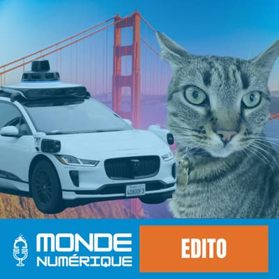 ✍️ Edito – Ce qu'un chat tué par un robotaxi dit de notre rapport à la technologie