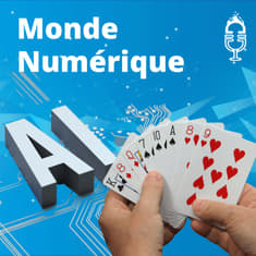 Une intelligence artificielle "explicable" et économe en ressources... qui joue au bridge (Jean-Baptiste Fantun, NukkAI)