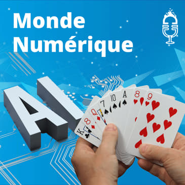 Une intelligence artificielle "explicable" et économe en ressources... qui joue au bridge (Jean-Baptiste Fantun, NukkAI)