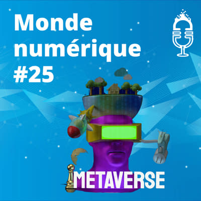 Le boom des biens virtuels dans les metavers (#25)
