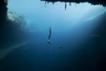 Ep. 97: Freediver William Trubridge