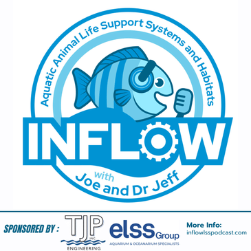 Ep 24 - Ozone in LSS: Disinfection, Design, and Clean Water Systems