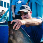 EP 49: Shark Research & Fish Sandwiches