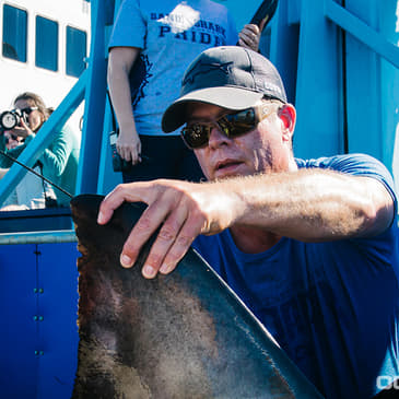 EP 49: Shark Research & Fish Sandwiches