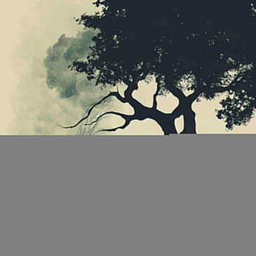 2588: How to Perfect Your Grief Story by Shelby Forsythia on How to Create Space for Empathy