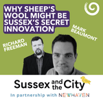 #47: Why Sheep's Wool Might Be Sussex's Secret Innovation