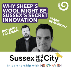 #47: Why Sheep's Wool Might Be Sussex's Secret Innovation