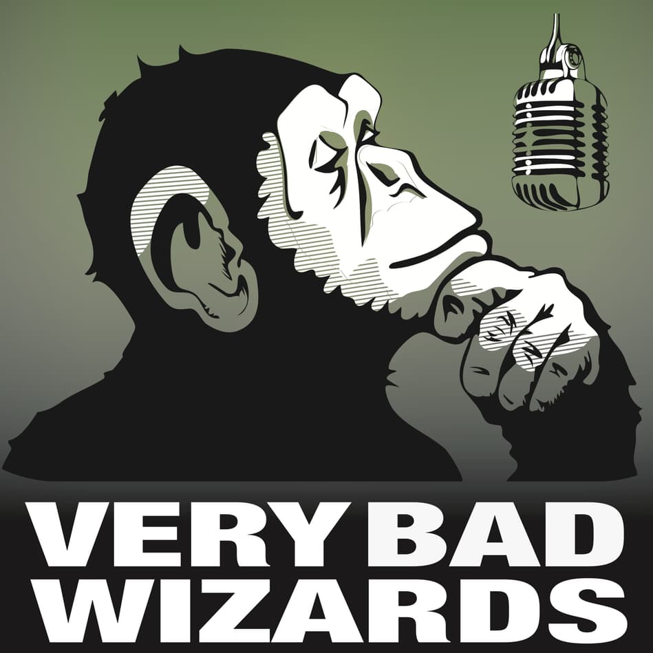 Episode 147: Effective Altruism and Moral Uncertainty (with The One True  Scotsman, Will MacAskill) | Very Bad Wizards podcast