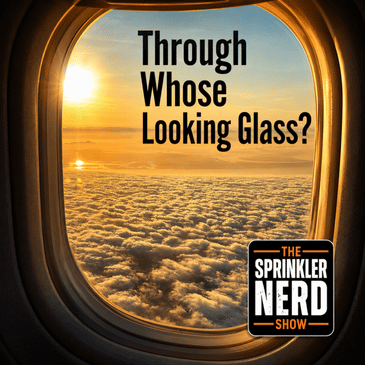 #211 - Through Whose Looking Glass?
