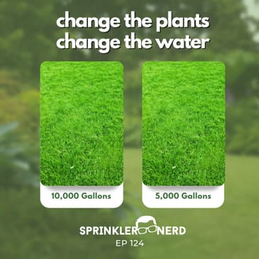 #124 - Change The Plants, Change The Water