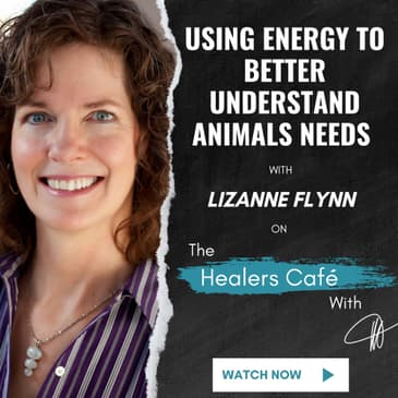 Using Energy to Better Understand Animals Needs – Lizanne Flynn on The Healers Café with Manon Bolliger