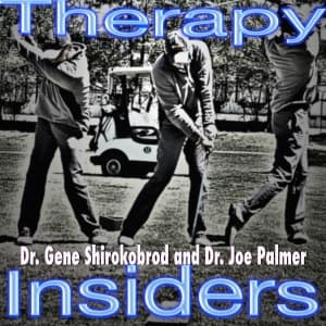 Therapy Insiders interview Dr. Erson Religioso (themanualtherapist.com)