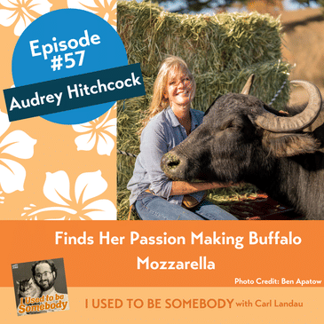 Audrey Hitchcock Finds Her Passion Making Buffalo Mozzarella