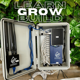 #174 - The Sandbox Adventure