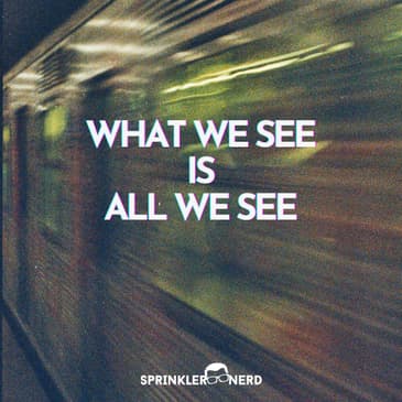 #139 - What We See Is All We See