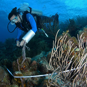 EP 65: Chantale Begin and Team Salty Science