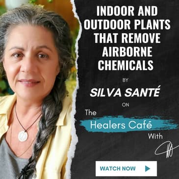 Indoor and Outdoor Plants that Remove Airborne Chemicals by Silva Sant on The Healers Caf with Manon Bolliger