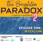 The Brighton Paradox: MYCELIUM