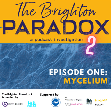 The Brighton Paradox: MYCELIUM