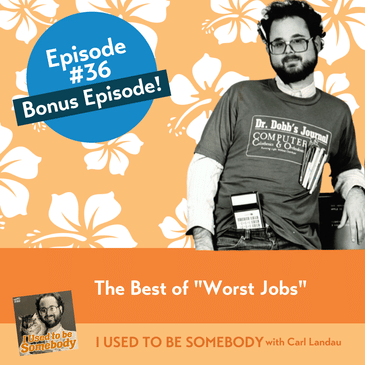 Bonus: The Best of "Worst Jobs"