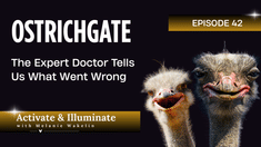 OSTRICHGATE: The Expert Doctor Tells Us What Went Wrong With Jeff Wilson