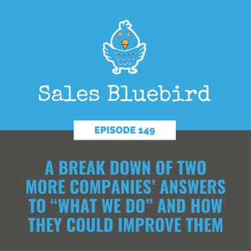 149: A break down of two more companies’ answers to “What We Do” and how they could improve them