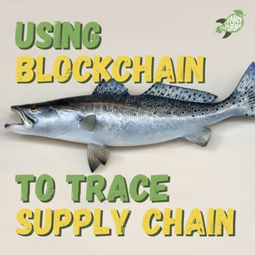 Blockchain and Palm Oil — Aidan Dowdle