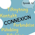 #42 "Connection" in Norwegian - a concept full of nuances [vokabular] [kultur]