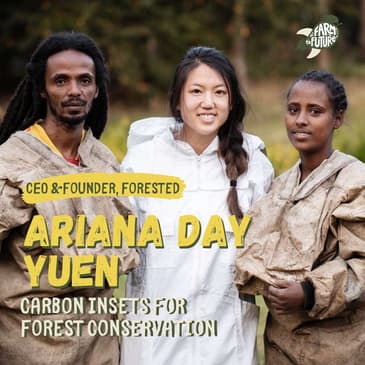 Will carbon insetting save the world's forests? — Ariana Day Yuen