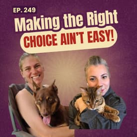249: Short version - Why We’re Pausing the Podcast (PTSD, Burnout & Being Real)