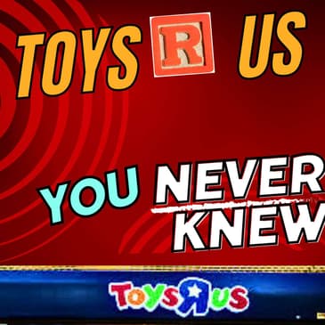 The Downfall of Toys R Us. Part 1.