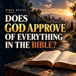 Does God Approve of Everything in the Bible?