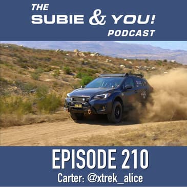 S&YE210 - XTrek Alice