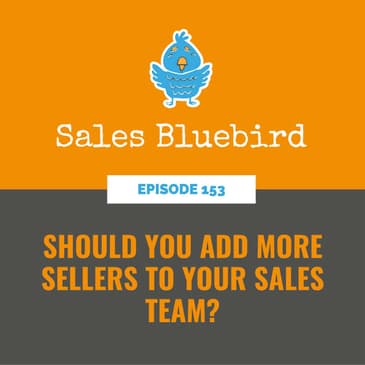 153: Should you add more sellers to your sales team?