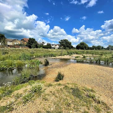 #108: (WILD) Rewilding for Urban Flood Resilience