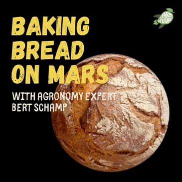 Baking Sourdough on Mars — Bert Schamp