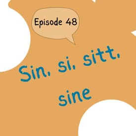 #48 Sin, si, sitt and sine - correct grammar can save family drama! [grammatikk]