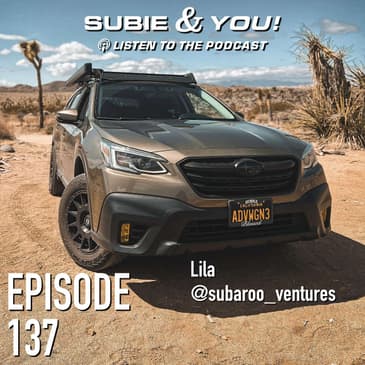 S&YE137 - Subaroo Ventures