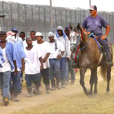 #20 - Slavery in the U.S. Today: Is This 2025 or 1825?